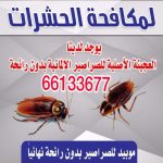 pest control مكافحة حشرات - مكافحة حشرات الكويت 66133677