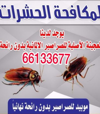 pest control مكافحة حشرات وقوارض - مكافحة حشرات بالكويت - مكافحة حشرات - مكافحة بق - مكافحة فئران - رش صراصير - الاتصال 50605027