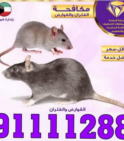 مكافحة حشرات بالكويت مكافحة حشرات - الماسة 📞 91111288 - شركة مكافحة حشرات - مكافحة حشرات وقوارض - مكافحة بق - رش صراصير - مكافحة نمل - شركة حشرات - مكافحة فئران