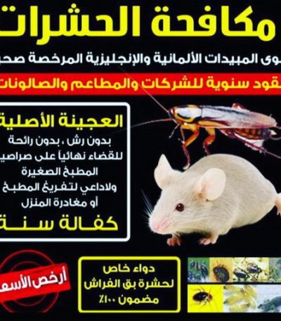 WhatsApp Image 2020 12 28 at 12.01.54 AM ونش عبدالله المبارك - بالكويت - رقم ونش عبدالله المبارك - ونش وسطحه عبدالله المبارك - ونش سيارات عبدالله المبارك - كرين عبدالله المبارك