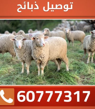 كخكمك قصاب متنقل - قصاب الكويت - ابومحمود 97421056 - قصاب رخيص - قصاب الجهراء - قصاب الفروانية - قصاب حولي - قصاب الأحمدي - قصاب مبارك الكبير - قصاب